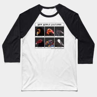 New World Vultures Illustration Baseball T-Shirt